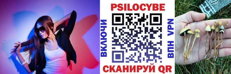 Псилоцибиновые грибы прущие грибы  купить закладку  Якутск 